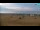 Webcam in Bibione, 0.6 mi away