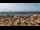 Webcam in Bibione, 0.6 mi away