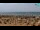 Webcam in Bibione, 1.6 km