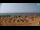 Webcam in Bibione, 7.7 km entfernt