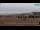 Webcam in Bibione, 11.6 km entfernt