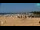 Webcam in Bibione, 2.9 mi away