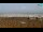 Webcam in Bibione, 1 mi away