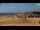 Webcam in Bibione, 2.9 mi away