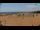 Webcam in Bibione, 10.6 km
