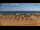 Webcam in Bibione, 2.2 km entfernt