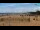 Webcam in Bibione, 1.1 km entfernt