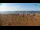 Webcam in Bibione, 10.4 km