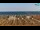 Webcam in Bibione, 2.5 km