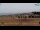 Webcam in Bibione, 1.7 km