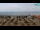 Webcam in Bibione, 0.9 mi away