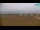 Webcam in Bibione, 2.9 mi away
