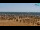 Webcam in Bibione, 2.6 km