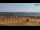 Webcam in Bibione, 2.6 km