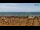 Webcam in Bibione, 11.5 km