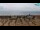 Webcam in Bibione, 1 mi away