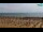 Webcam in Bibione, 2.9 mi away