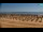 Webcam in Bibione, 1.6 km entfernt
