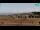 Webcam in Bibione, 4.4 mi away