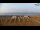 Webcam in Bibione, 2.7 km