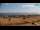 Webcam in Bibione, 2.9 mi away