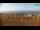 Webcam in Bibione, 11.8 km entfernt