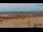 Webcam in Bibione, 2 km