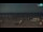 Webcam in Bibione, 7.5 km