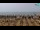 Webcam in Bibione, 2.9 mi away