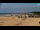 Webcam in Bibione, 2 km