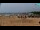 Webcam in Bibione, 0.6 mi away
