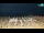 Webcam in Bibione, 1.1 km
