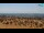 Webcam in Bibione, 1.1 mi away