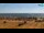 Webcam in Bibione, 1.5 mi away
