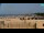 Webcam in Bibione, 0.6 mi away