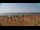 Webcam in Bibione, 0.9 mi away
