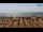 Webcam in Bibione, 0.6 mi away