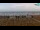 Webcam in Bibione, 0.3 km