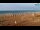 Webcam in Bibione, 7.5 km