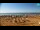 Webcam in Bibione, 0.1 mi away