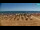 Webcam in Bibione, 2 km