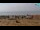 Webcam in Bibione, 7.5 km