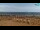 Webcam in Bibione, 2.6 km