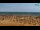 Webcam in Bibione, 4.5 mi away