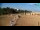 Webcam in Bibione, 2.5 km