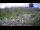 Webcam in Marseille, 13 km entfernt