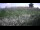 Webcam in Marseille, 2 km entfernt