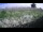 Webcam in Marsiglia, 6.3 km