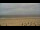Webcam on Norderney, 0.7 mi away