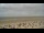 Webcam on Norderney, 0.3 mi away
